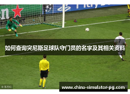 如何查询突尼斯足球队守门员的名字及其相关资料