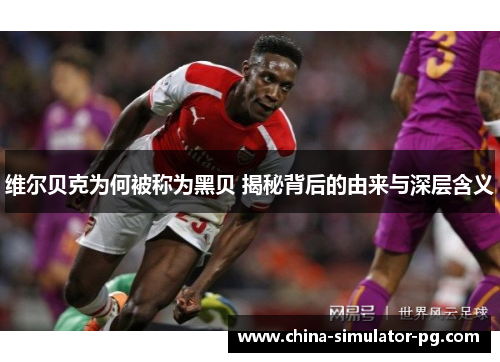 维尔贝克为何被称为黑贝 揭秘背后的由来与深层含义 维尔贝克为何被称为黑贝 揭秘背后的由来与深层含义