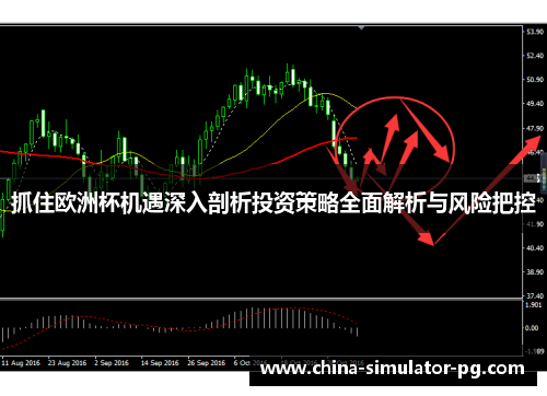 抓住欧洲杯机遇深入剖析投资策略全面解析与风险把控 抓住欧洲杯机遇深入剖析投资策略全面解析与风险把控